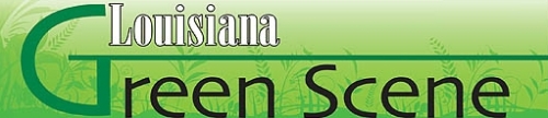 Green Scene Logo